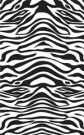 duschdraperi zebra