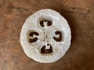 loofahbit